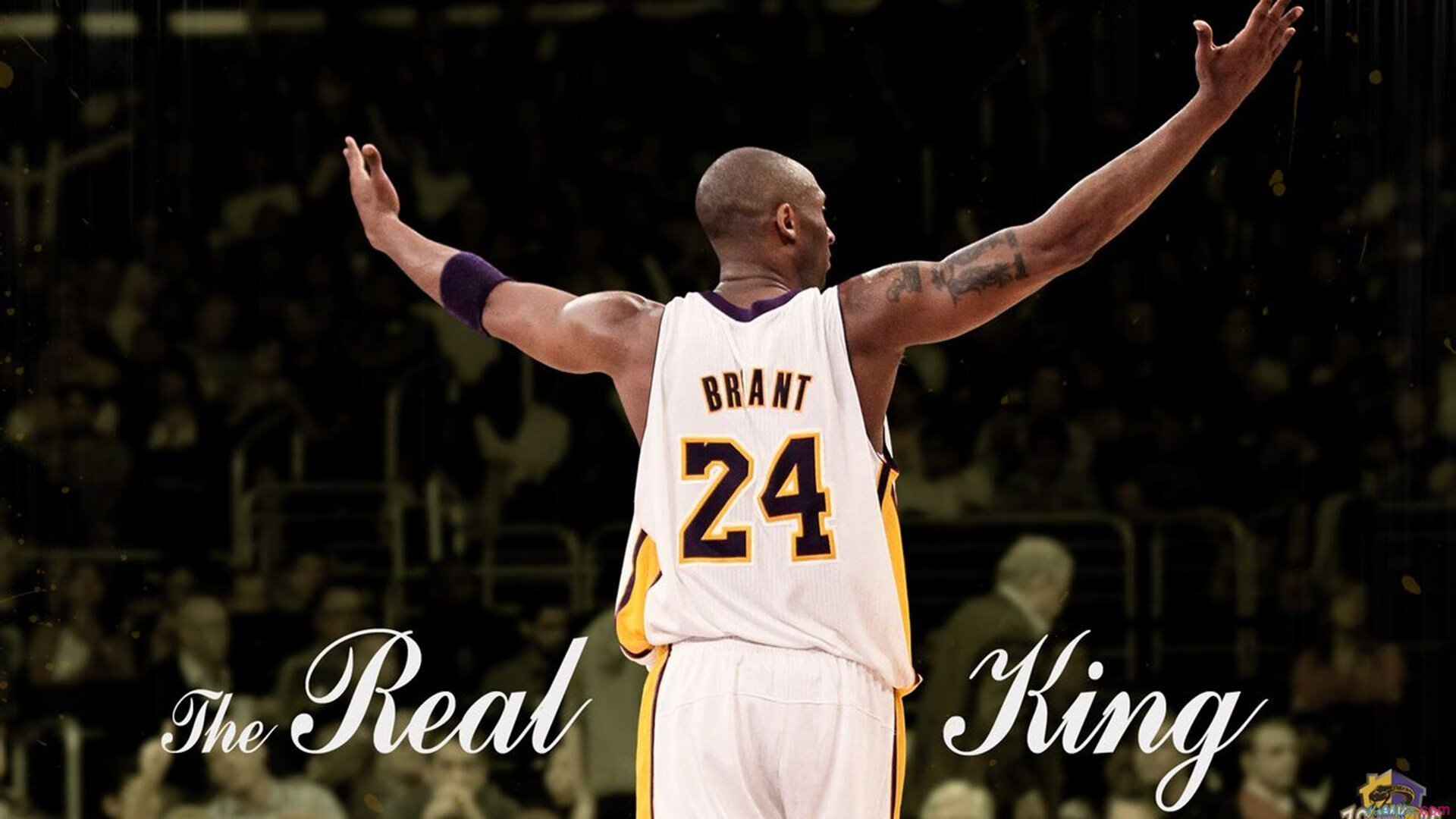 卡丁赛培养新人,青训体系日趋完善,卡丁车竞赛技巧