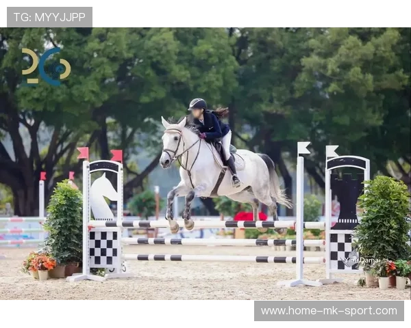 青少年马术训练课程引入心理素质培养环节，少儿马术培训